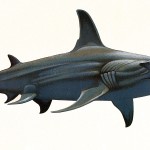 Poster "Les requins de Polynésie". Joseppe & PatCab, 1998.